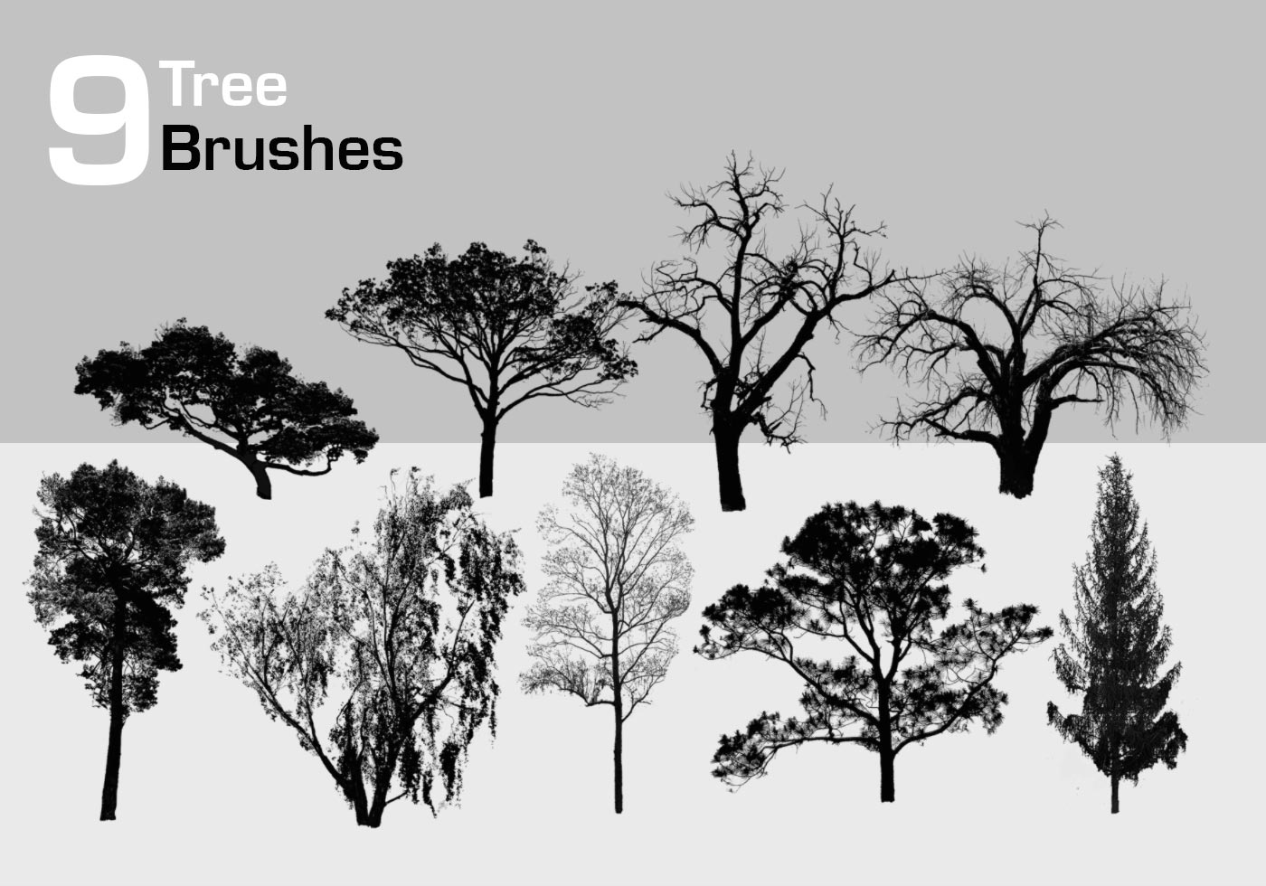 9 High Resolution Tree Brushes