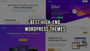 Read more about the article Best High-end WordPress themes