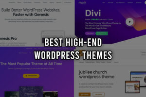 Best High-end WordPress themes