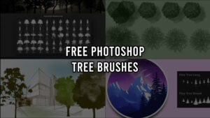 Read more about the article Free Photoshop Tree Brushes: The Art of Creating Masterpieces
