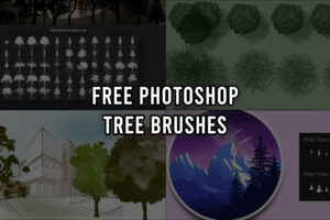 Free Photoshop Tree Brushes: The Art of Creating Masterpieces